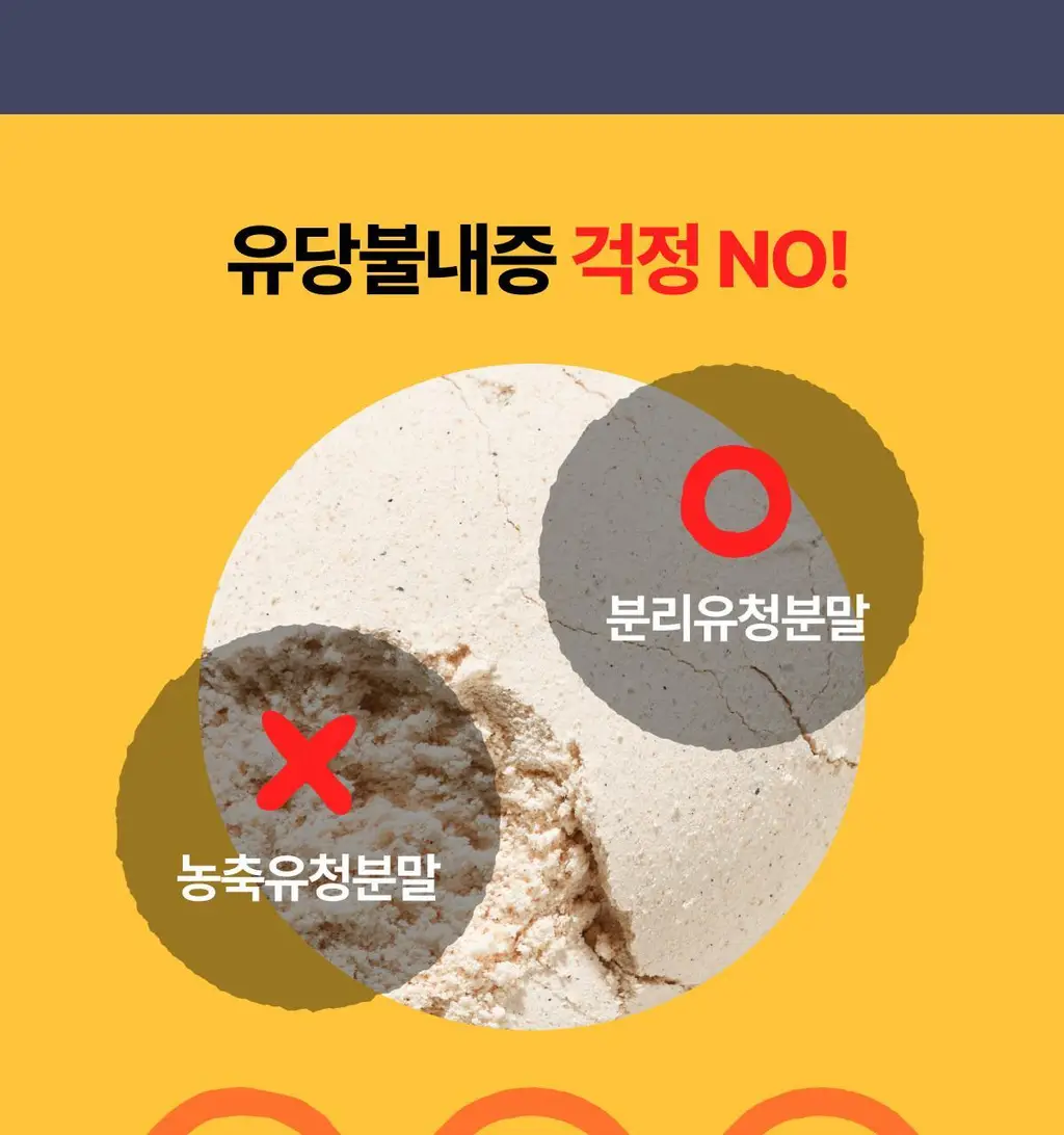 [홍진경 PICK] 리앤핏 단백질쉐이크 45g 5종 택1 상세페이지 27